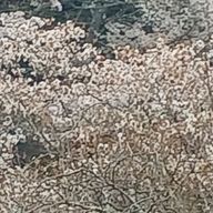 兎由(うゆ)さんのアイコン画像