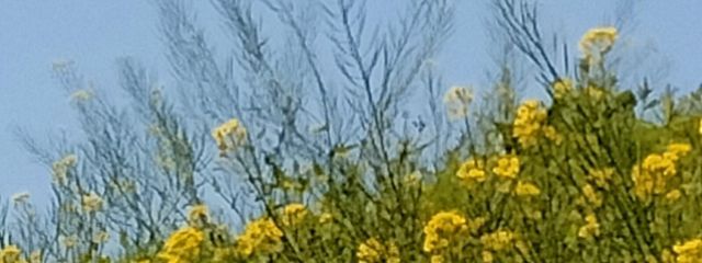 †闇月†さんの壁紙画像