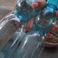 あゆみさんのアイコン画像