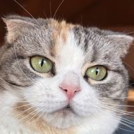 まゆさんのアイコン画像