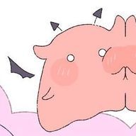 豆腐の権化さんのアイコン画像