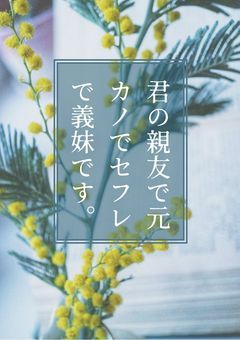 君の親友で元カノでセフレで義妹です。