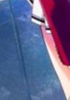 白か、黒か、その間で、(逃げました)