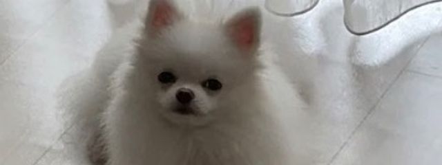 RIN⭐︎NANASE🩵さんの壁紙画像