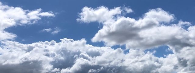 まあぶるさんの壁紙画像