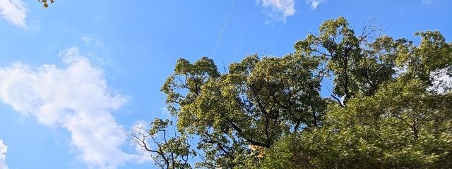 純花さんの壁紙画像