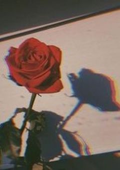 Rui's tea time．🥀💭