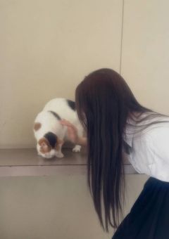 私は貴方に恋をしてもいいですか？