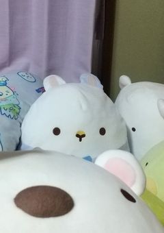 推しを教えてください！