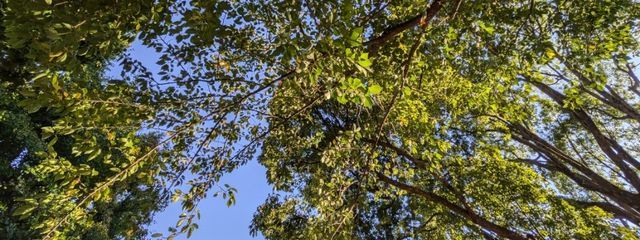 RAIMUさんの壁紙画像