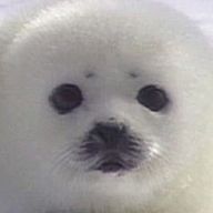 あぢゃらしさんのアイコン画像