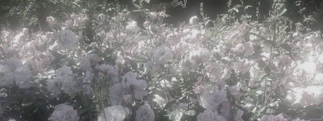 東 _ トイザらスの棚さんの壁紙画像
