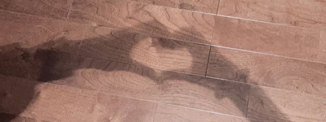 まこちさんの壁紙画像