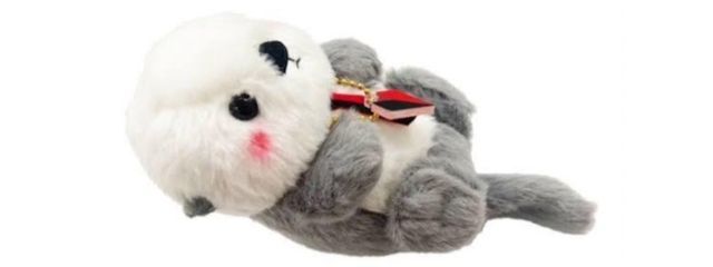 あしゅさんの壁紙画像