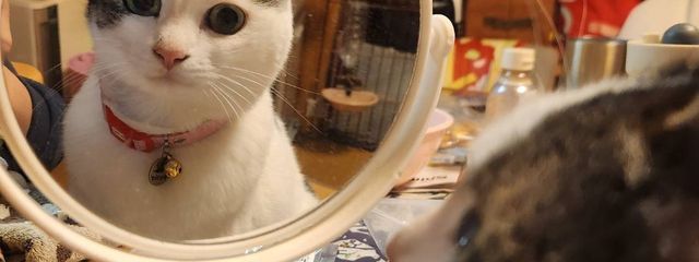 みんと/フォロバ100%さんの壁紙画像