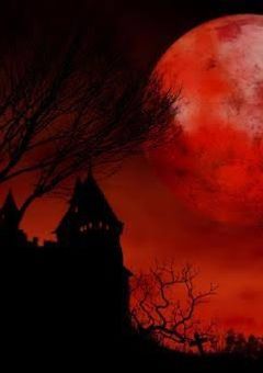 ヴァンパイアのENHYPENからひたすら逃げる話