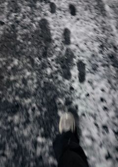ネコ