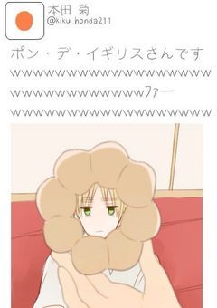 縁側のひととき