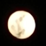 Black fox@暁と黄昏の舞さんのアイコン画像