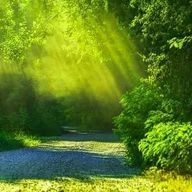 まるん◎さんのアイコン画像