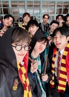 不良に好かれました