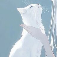 きむらさんのアイコン画像
