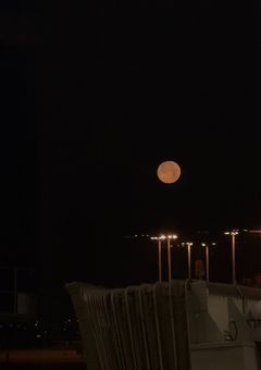 ヴ ァ ン パ イ ア