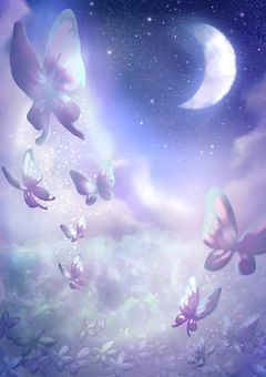 〚　　月夜の蝶． 　〛