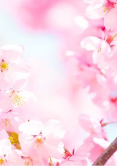 カタチのないもの