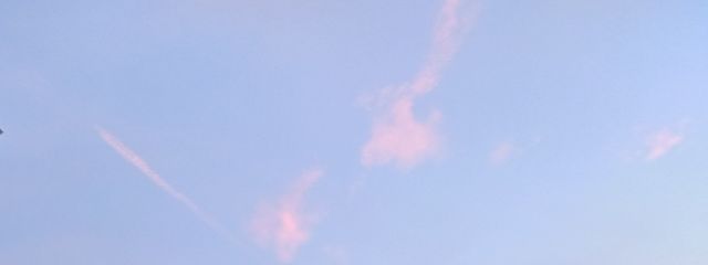 ✾ ずだこｷｭｱね ❉さんの壁紙画像