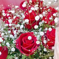 A.R.M.さんのアイコン画像