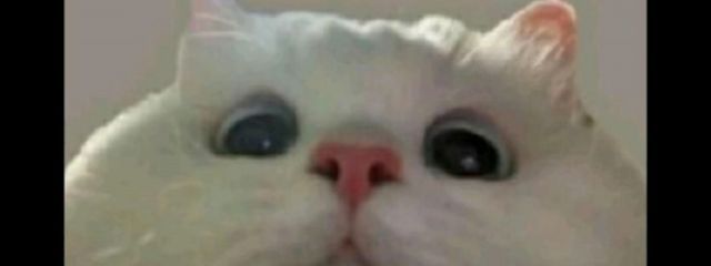 影響⭐︎未緒 (えいき みい)さんの壁紙画像