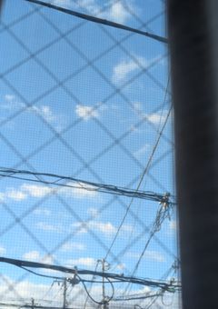 じゃがいもの相談室