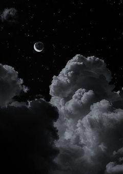 "13人のマフィアと、呪われた館"【参加型】〆