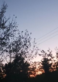 　共感（？？）
