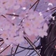 　　ざうゆーゆ　。　浮上　‼️さんのアイコン画像