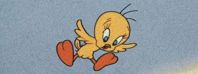 トゥメさんの壁紙画像