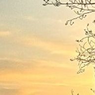 ソラ豆🌱☁️さんのアイコン画像