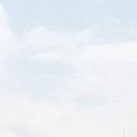 🌱☁️さんのアイコン画像