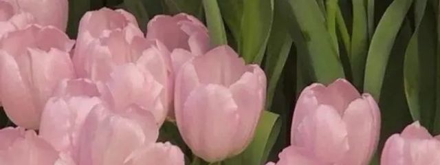  ぬ さんの壁紙画像