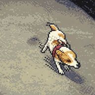 あぽろ。さんのアイコン画像