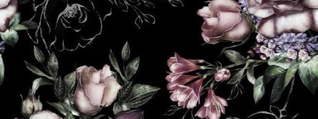 ハルさんの壁紙画像