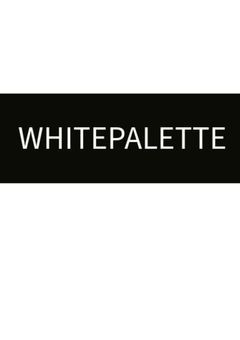 ホワイトパレット　夜空　流星　💫