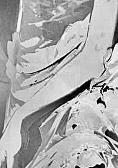  ︎︎𝑡𝑔𝑎𝑘 ︎︎⟡ " 人間バレ " したら同期達が過保護になった話