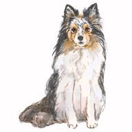 錦百合雫さんのアイコン画像