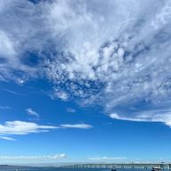 むるさんのアイコン画像