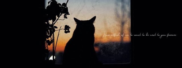 明刄さんの壁紙画像