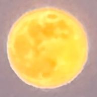 なぴめさんのアイコン画像