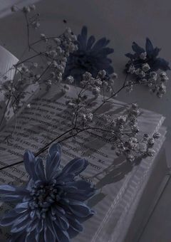 𝑆𝑡𝑎𝑦  𝑊𝑖𝑡ℎ 𝑀𝑒