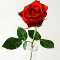 雪白さんのアイコン画像